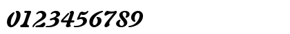Freefrm721 Blk BT Black Italic Preview
