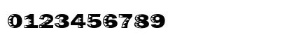 Uncey Regular Numeric Preview