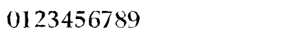 BelfastRandom-Medium Regular Numeric Preview