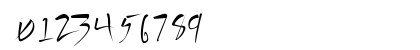 Vecker Lefti Regular Preview