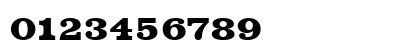 VoltaT Bold Preview