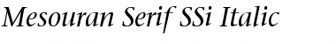 Mesouran Serif SSi Font