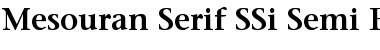 Mesouran Serif SSi Semi Bold Font