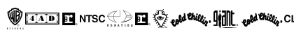 WarnerLogoFontNine Regular