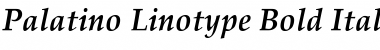 Palatino Linotype Font