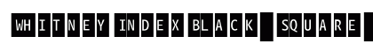 WhitneyIndexBlack-Square-Light2 Regular preview