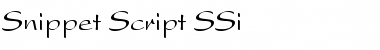 Download Snippet Script SSi Font