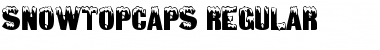 SnowtopCaps normal Font