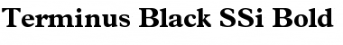 Terminus Black SSi Bold