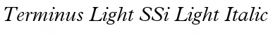 Terminus Light SSi Light Italic