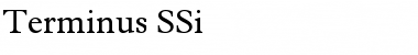 Download Terminus SSi Font