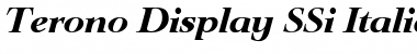 Terono Display SSi Italic Font