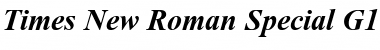 Times New Roman Special G1 Bold Italic