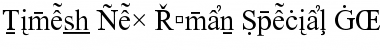 Times New Roman Special G2 Regular Font