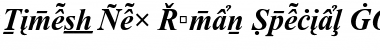 Times New Roman Special G2 Bold Italic