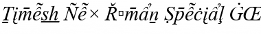 Times New Roman Special G2 Italic
