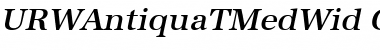 URWAntiquaTMedWid Font