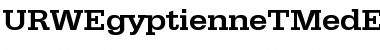 URWEgyptienneTMedExtWid Regular Font