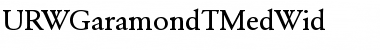 URWGaramondTMedWid Regular Font