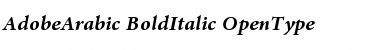 Adobe Arabic Bold Italic Font