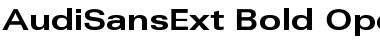 AudiSansExt Font