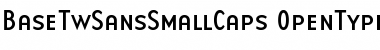 BaseTwSansSmallCaps Regular Font