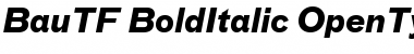 BauTF-BoldItalic Regular Font