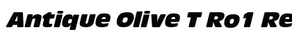 Antique Olive T Ro1 Regular Preview