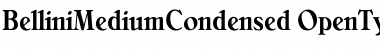 BelliniMediumCondensed Regular