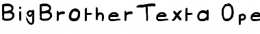 BigBrother Texta Font