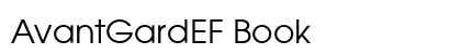 AvantGardEF Book Preview