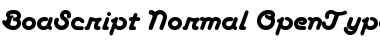 BoaScript Normal Font