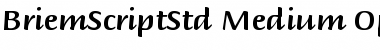 Briem Script Std Medium