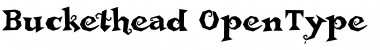 Buckethead Regular Font
