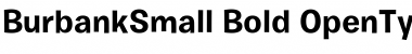 Burbank Small Bold Font