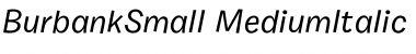 Burbank Small Medium Italic Font