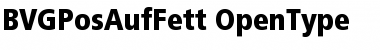 Download BVGPosAufFett Font
