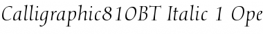 Calligraphic 810 Italic Font