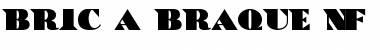 BricaBraque NF Regular Font