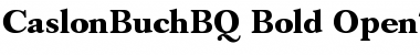 Caslon Buch BQ Regular Font