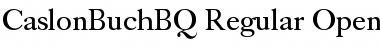 Caslon Buch BQ Regular