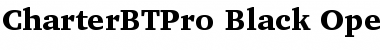 Charter BT Pro Font