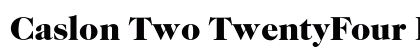 Caslon Two TwentyFour BQ Regular Preview