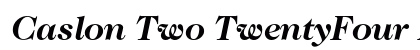 Caslon Two TwentyFour BQ Regular Preview