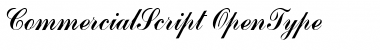 Commercial Script Font