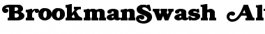 BrookmanSwash Alternates2 Unsw Font