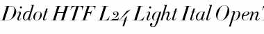 Didot-HTF-L24-Light-Ital Regular Font