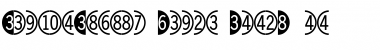 DoubleDigits Round Font