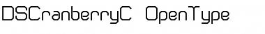 DS CranberryC Regular Font