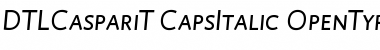DTL Caspari T Caps Italic Font